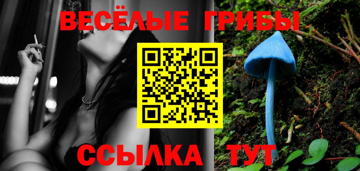 Галлюциногенные грибы Psilocybe  Вход с VPN  Геленджик 